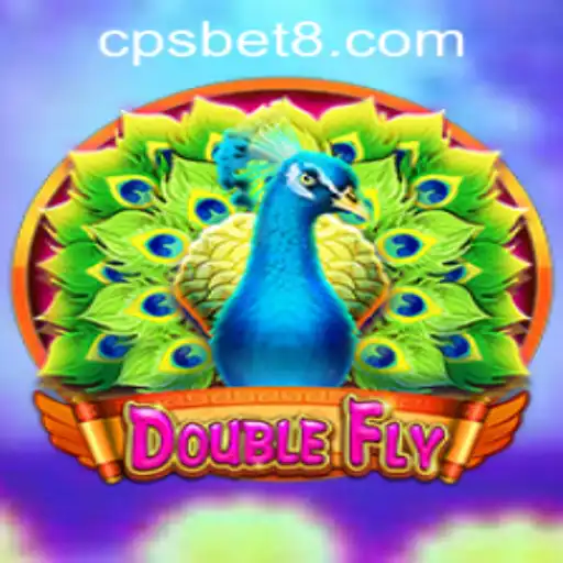 Exploring the Thrilling Universe of DoubleFly